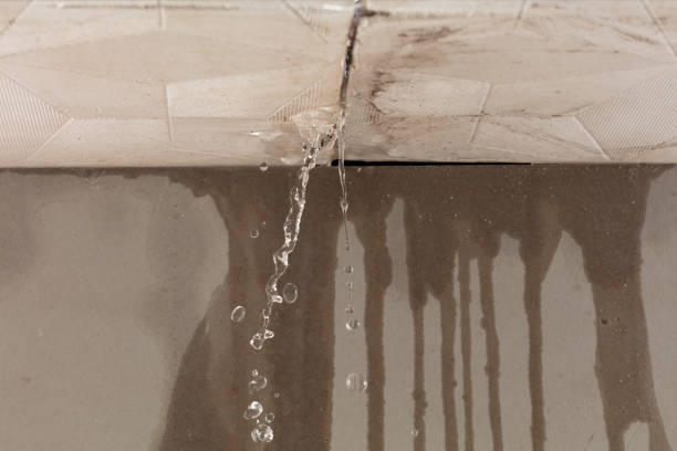 Professional Structural Drying technician working in Beasley, TX